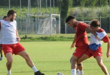 Calcio Serie C – Amichevole a Veronello contro il Castegnato: Mantova, facci vedere chi sei celesia pallone_2721879