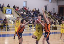 Basket Serie C – Coach Tellini promuove il nuovo Viadana: “Siamo coperti in tutti i ruoli” defant