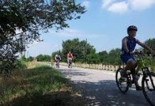 Riaperta la ciclovia tra Goito e Sacca chiusa stamattina per un cedimento della scarpata