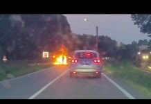 Centauro muore nello scontro con un’auto a San Michele in Bosco