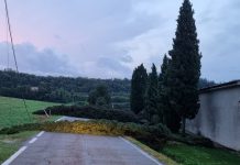 Segnalazioni per danni da maltempo: Regione Lombardia proroga la scadenza al 21 agosto