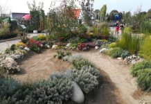 Canneto si prepara a “Verdeggiando 2023” Canneto sull'Oglio, un allestimento di giardino_2736513