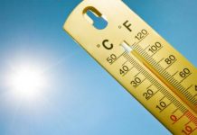 Torna il grande caldo: Mantova tra le città con allerta per “disagio forte”