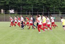 Calcio 2ª Categoria – Acquanegra, Cannetese, Dinamo, Voltesi e NewCastel sui blocchi di partenza Voltesi_Medolese_01