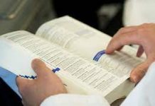 Mantova, terra di farmacisti: nel 1558 nacque la quarta farmacopea al mondo