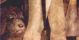 Rubrica il mio cane è felice: conosciamo i cani da acqua