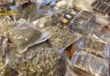 Sequestrati 120 chili di droga tra Caltanissetta e Roma, 12 arresti