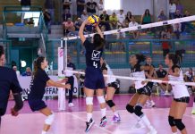 Pallavolo serie A1 f – Vbc ko con Brescia al Trofeo Bressan