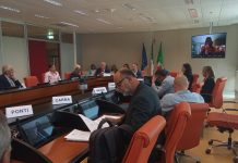 Emergenza peste suina, Pd: “Il primo ottobre parte il piano di eradicazione, ma Regione Lombardia è pronta? Temiamo di no”