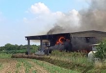 Rogo nel fienile: distrutte 200 rotoballe di fieno