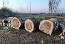 “Verde pubblico in abbandono”, la minoranza di Rodigo va all’attacco