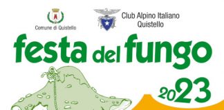 Quistello: sei giorni come in montagna con la Festa del Fungo