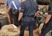 Sequestrate nel reggino tre tonnellate di cannabis