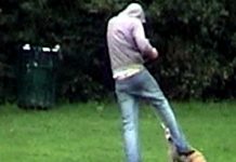 Prende a calci un cagnolino per strada: denunciato un 20enne