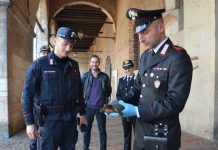 Tre tartarughe in via d’estinzione tratte in salvo e ora adottate a Palazzo Ducale