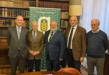 Olio Evo, accordo Confagricoltura-Unapol per slancio al comparto