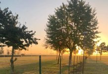 Una nuova area dedicata ai cani al parco Ca’ Rossa a Porto Mantovano