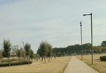 Nuovo parco Te: l’erba è già tutta ingiallita