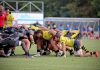 Rugby Serie A Elite – Viadana guarda tutti dall’alto. Gamboa: “Uno stimolo in più”