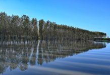 Il fiume Oglio rimane sorvegliato speciale