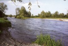 Situazione fiumi: il bollettino di Aipo