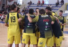 Basket Serie C – Viadana al tappeto, Stings col Soresina