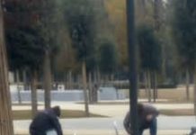 Già rotto anche uno dei giochi del parco