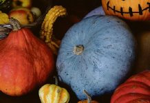La zucca: un tesoro nutrizionale della tua alimentazione sana.