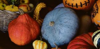 La zucca: un tesoro nutrizionale della tua alimentazione sana.