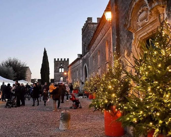 402839710_1086811359280415_6210793192055833885_n_2880793