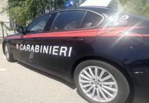 Scoperti mentre rubano in negozio, tentano di investire il direttore che li insegue