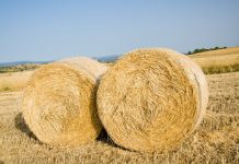 Acquanegra – La rotoballa gli precipita addosso. Agricoltore salvo per miracolo