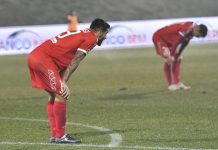 Calcio Serie C – Mantova, testa a Vercelli: fatti forza e riparti con il sostegno dei tuoi tifosi DSC_5549_2977347