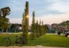Mantova green, quasi un albero per ogni abitante