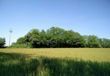 Come fare turismo sui colli: prende il via il corso con appuntamenti a Volta, Monzambano e Ponti