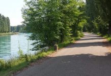 Potature sulla Mantova-Peschiera: tratto Scarpina-Diga di Salionze chiuso dal 21 al 23 febbraio