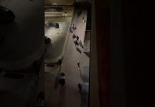 Tensione a Lunetta, confronto tra bande di extracomunitari