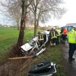 Auto fuori strada contro un albero tra Sermide e Felonica: muore un… Auto fuori strada contro un albero tra Sermide e Felonica: muore un…
