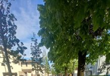 Viale Zanella è diventato patrimonio del comune di Medole
