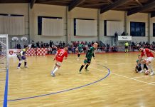 Calcio a 5 Serie A – Saviatesta al congedo, ultima partita a Treviso Mantova_L84_03