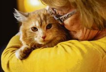 Villa Carpaneda: l’effetto benefico degli animali sugli anziani