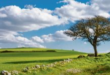 22 Aprile: oggi si celebra la 54′ Giornata della Terra