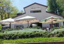 La ‘ndrangheta nella “Milano da bere”: arrestate 14 persone per associazione a delinquere. Manette anche a Mantova