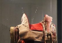 Flash d’arte 2024 – Racconti dal nuovo museo