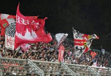 La VOCE dei tifosi – Racconti dai gradoni dello stadio: Mantova-Atalanta U23 tifosi_09