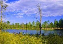 Castiglione: nel fine settimana il ritorno di Madre Terra