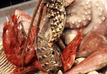 Ruba 15mila chili di crostacei e pesce surgelato, 60enne arrestato 10 anni dopo