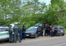 Alto Mantovano, blitz in un ex sito industriale: scovati clandestini e rifiuti illeciti. Tre denunce