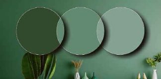 Tendenze d’arredo: tutte le novità che stanno caratterizzando il 2024