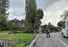 Tromba d’aria con grandine e bufera di pioggia tra Ostiglia e Revere